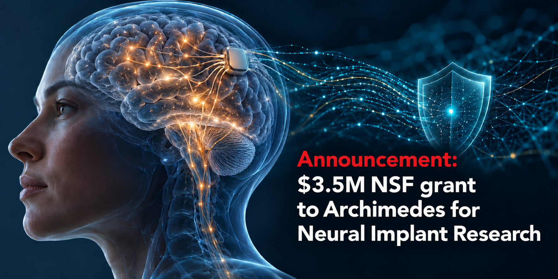 Human head with neural device implanted in brain